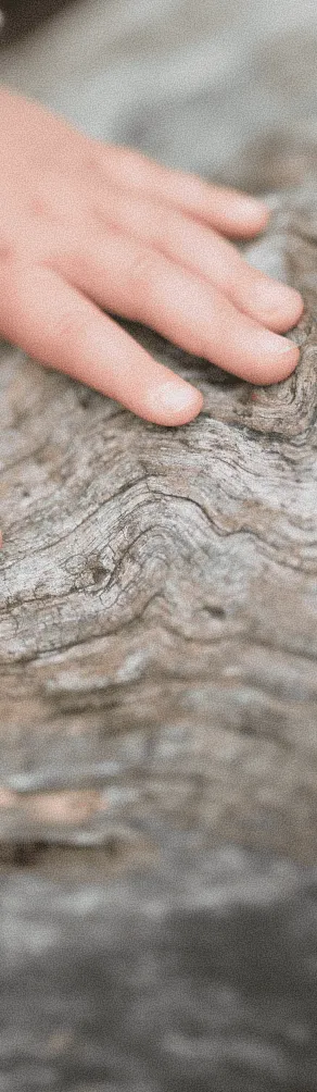 木の温もりを感じる自然素材